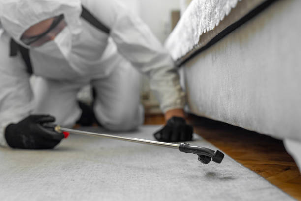 Professional Bed Bug Control technician working in Unicoi County County, TN
